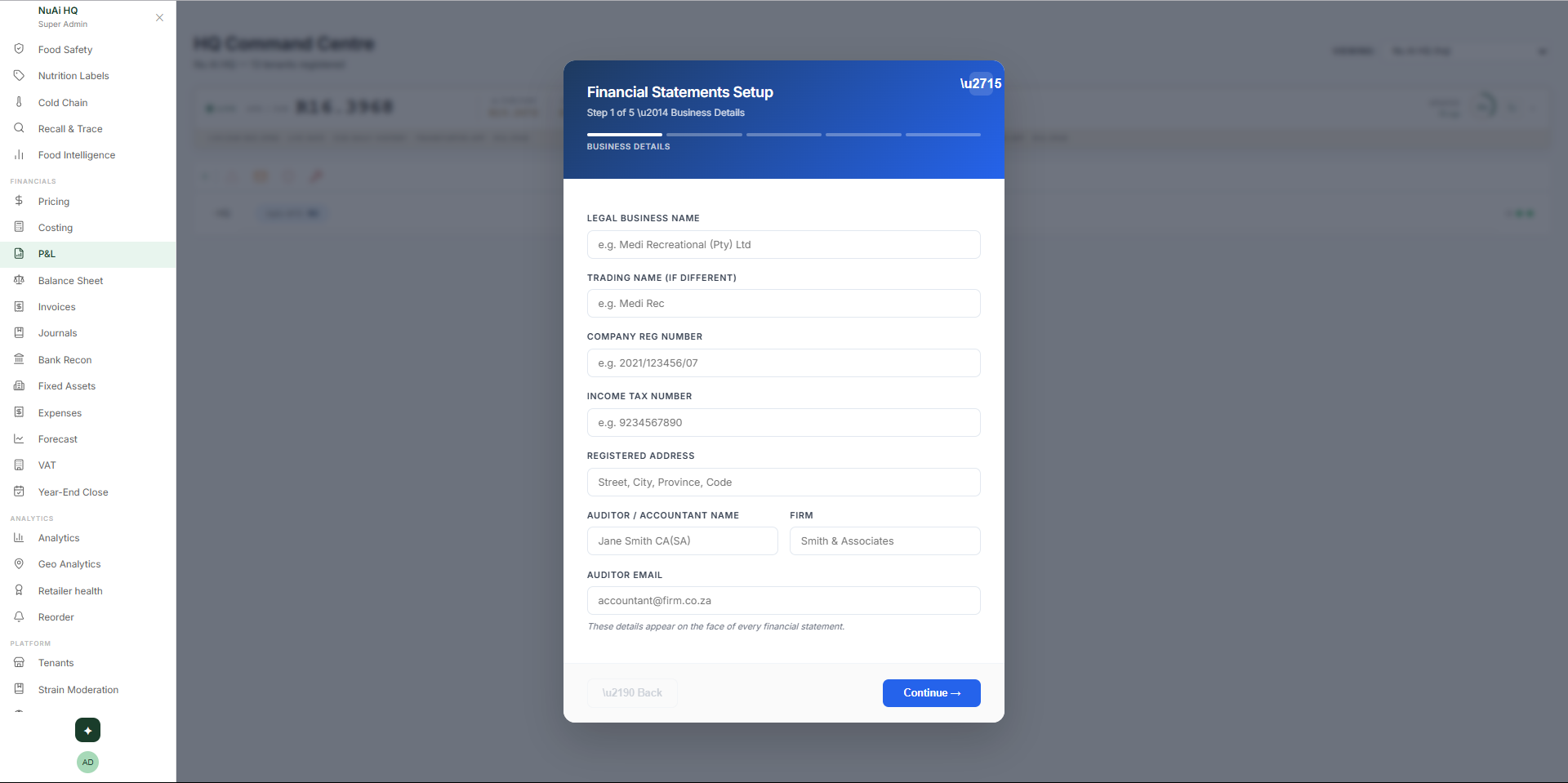 Financial Statements Setup wizard — Step 1 of 5 — Business Details form with legal entity name, trading name, company registration, income tax number, registered address, and auditor details
